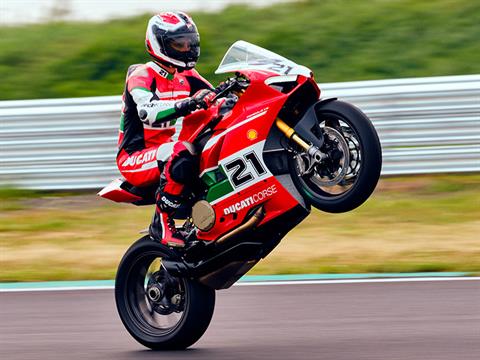 2024 Ducati Panigale V2 Bayliss 1st Championship 20th Anniversary in Portland, Oregon - Photo 16