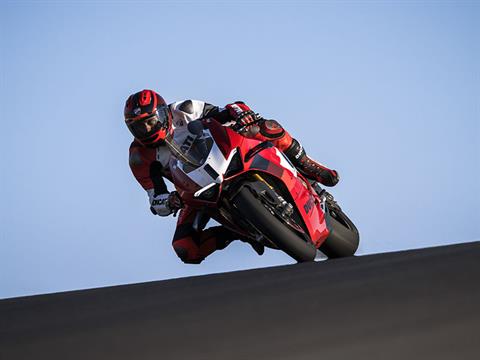 2024 Ducati Panigale V4 R in Foxboro, Massachusetts - Photo 13