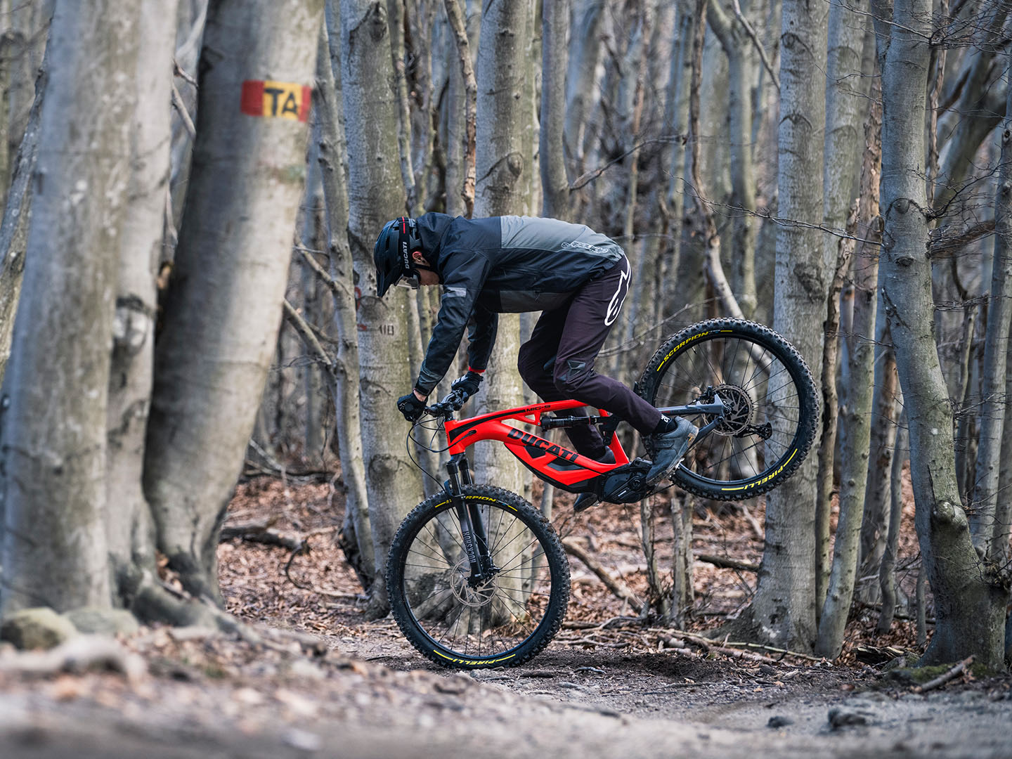 2025 Ducati MIG-S - L in Portland, Oregon - Photo 5