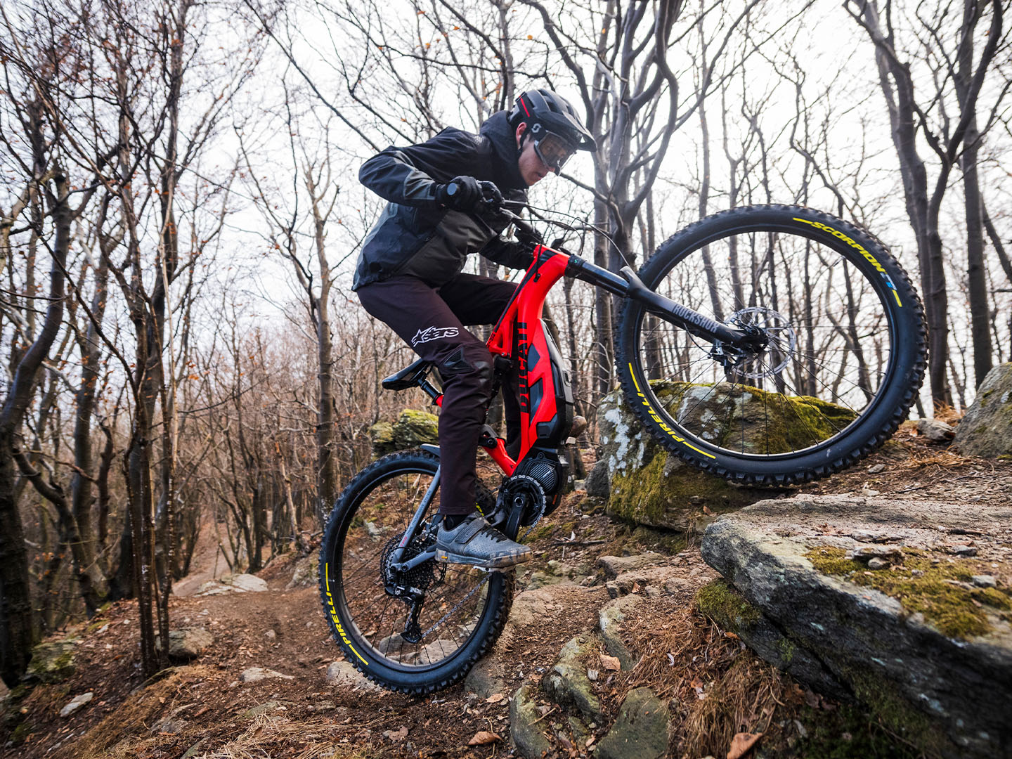 2025 Ducati MIG-S - XL in Portland, Oregon - Photo 3