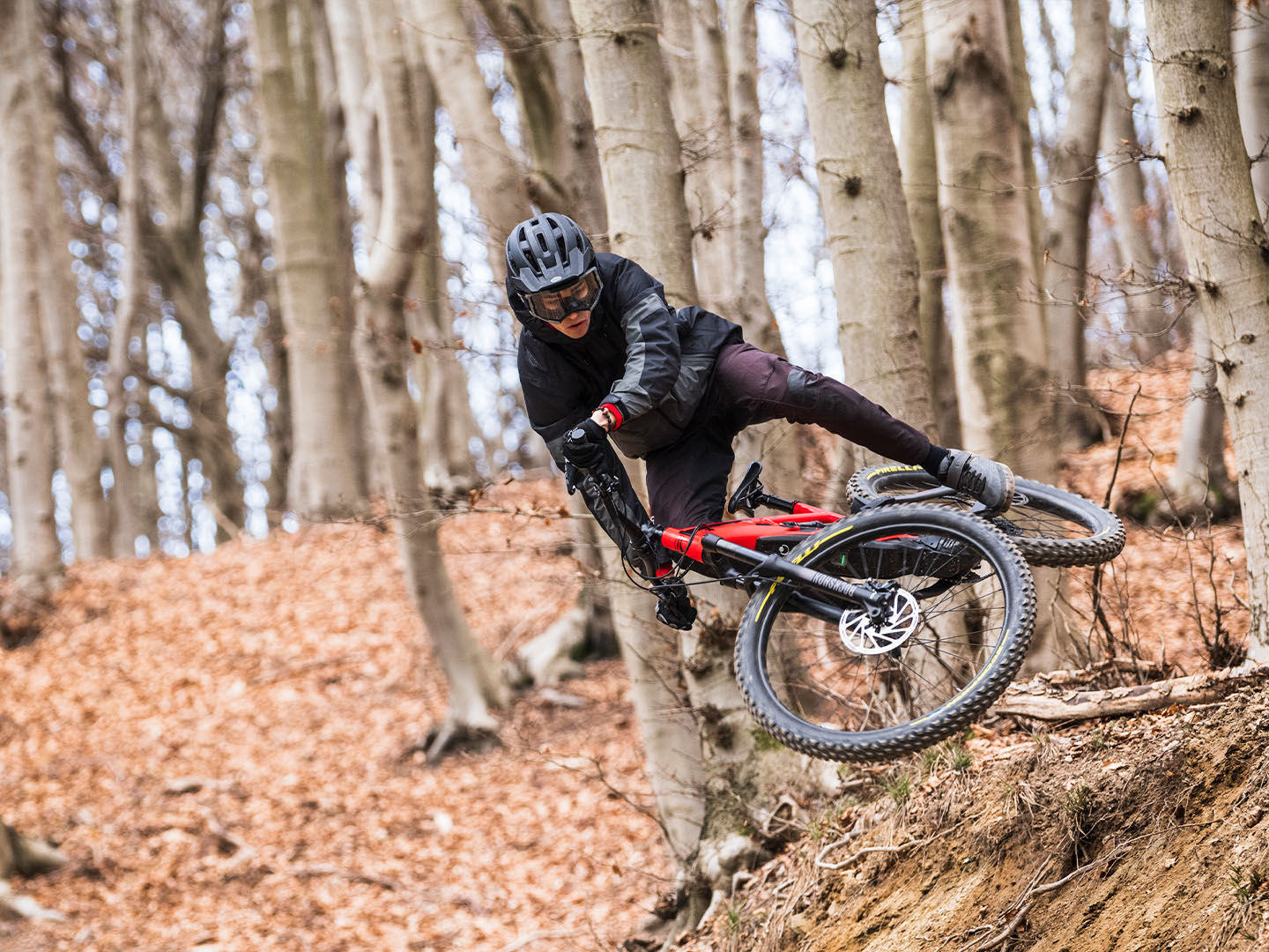 2025 Ducati MIG-S - XL in Portland, Oregon - Photo 6