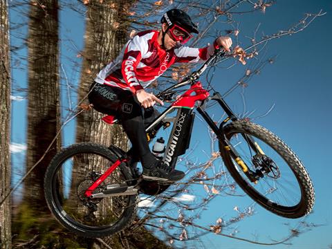 2025 Ducati TK-01RR - M in Portland, Oregon - Photo 3