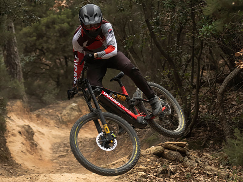 2025 Ducati TK-01RR Limited Edition - L in Portland, Oregon - Photo 13