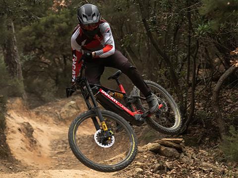 2025 Ducati TK-01RR Limited Edition - L in Portland, Oregon - Photo 13