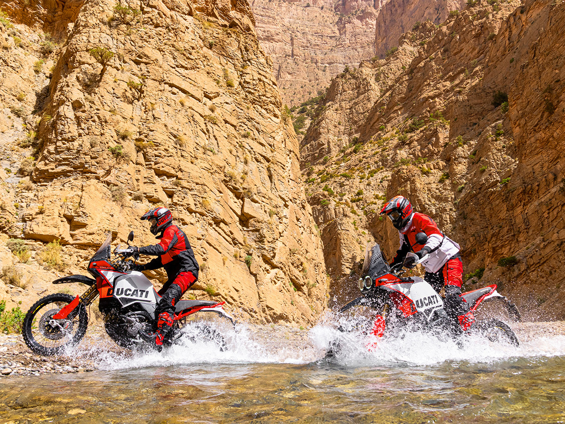 2025 Ducati DesertX Rally in Portland, Oregon - Photo 12