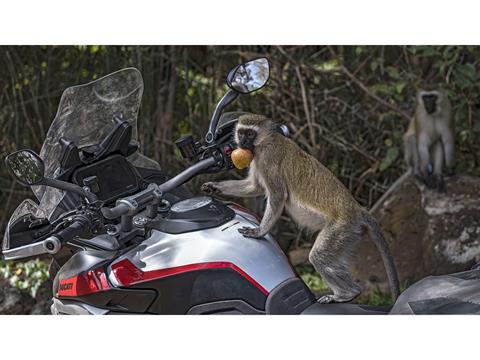 2025 Ducati Multistrada V4 Rally Adventure Travel & Radar in Foxboro, Massachusetts - Photo 10