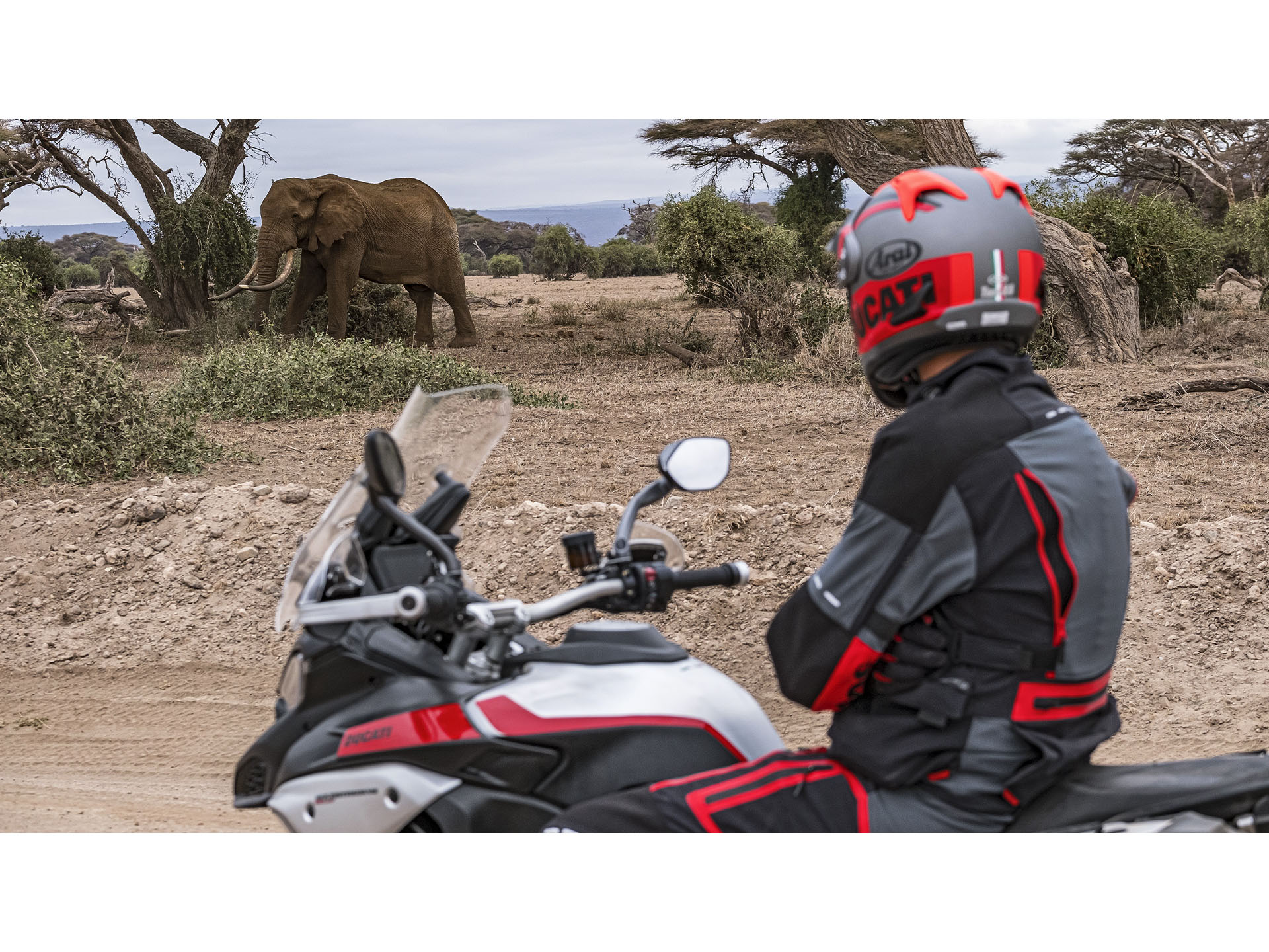 2025 Ducati Multistrada V4 Rally Adventure Travel & Radar in Foxboro, Massachusetts - Photo 11