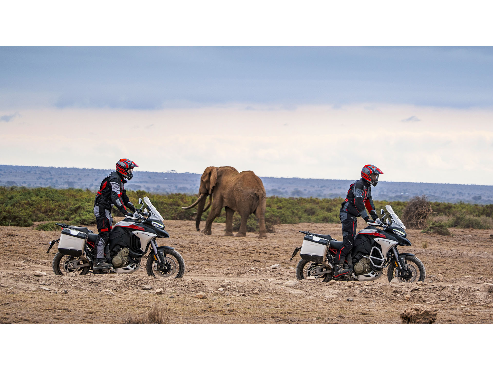 2025 Ducati Multistrada V4 Rally Adventure Travel & Radar in Foxboro, Massachusetts - Photo 14