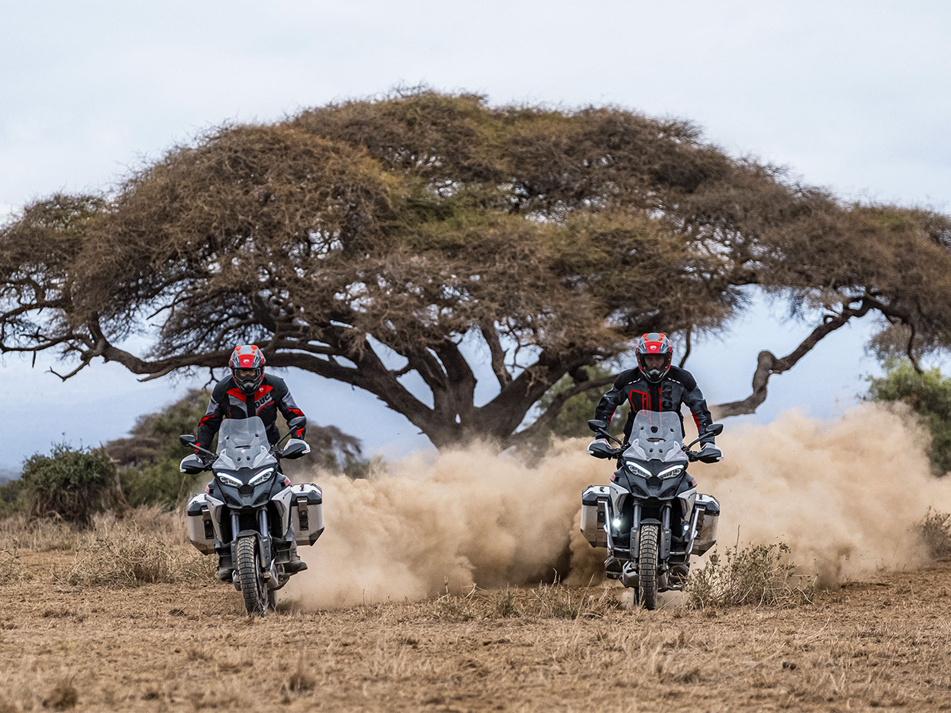 2025 Ducati Multistrada V4 Rally Adventure Travel & Radar in Foxboro, Massachusetts - Photo 16