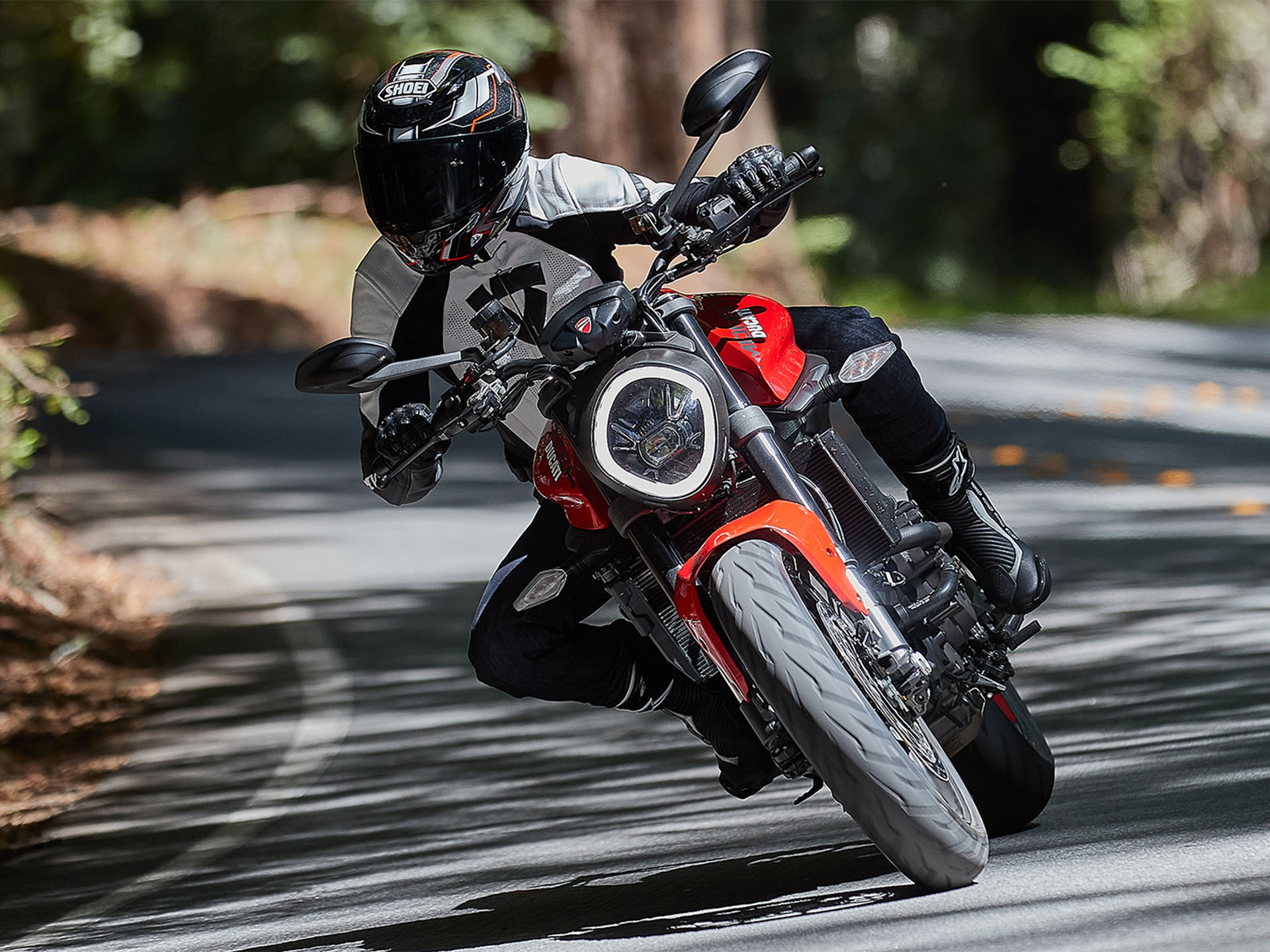 2025 Ducati Monster + in Portland, Oregon - Photo 15