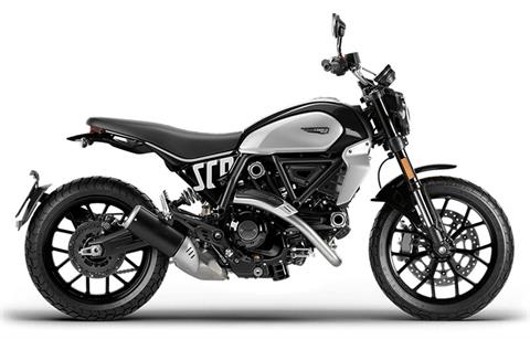 Ducati scrambler 800 2021 cheap