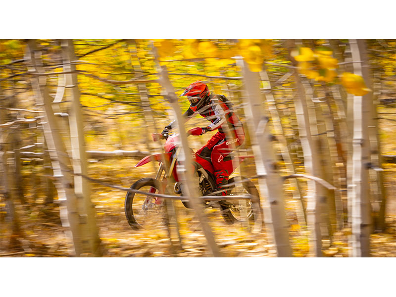 2026 Ducati Desmo450 EDX in Fort Myers, Florida - Photo 7