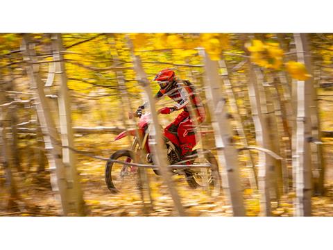 2026 Ducati Desmo450 EDX in Fort Myers, Florida - Photo 7