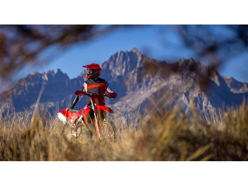 2026 Ducati Desmo450 EDX in Fort Myers, Florida - Photo 8