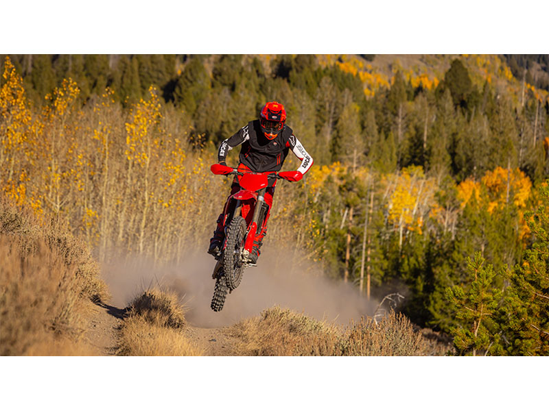 2026 Ducati Desmo450 EDX in Fort Myers, Florida - Photo 10