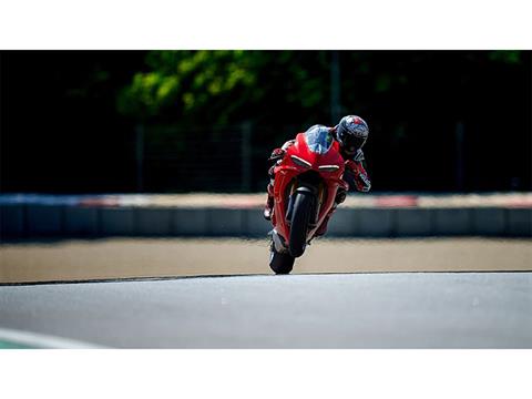 2026 Ducati Panigale V4 in Foxboro, Massachusetts - Photo 13