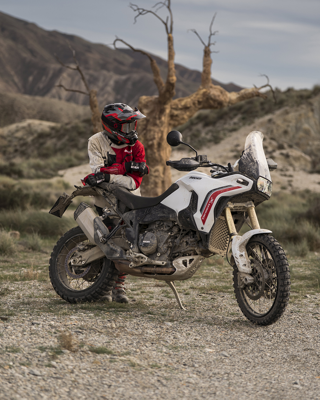 2027 Ducati DesertX in Chattanooga, Tennessee - Photo 9