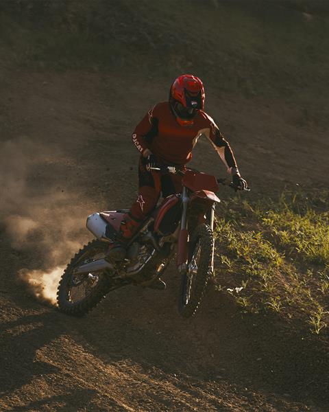 2027 Ducati Desmo250 MX in Portland, Oregon - Photo 20