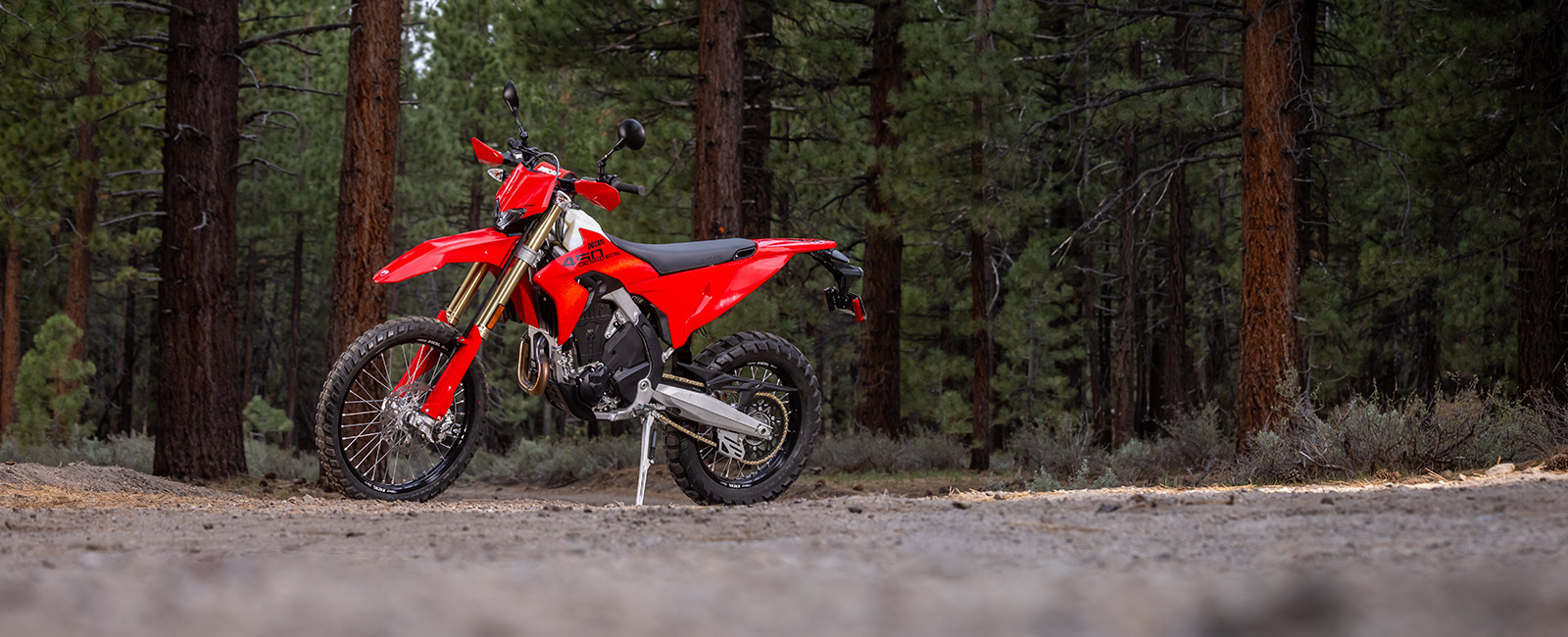 2027 Ducati Desmo450 EDS in Portland, Oregon - Photo 4