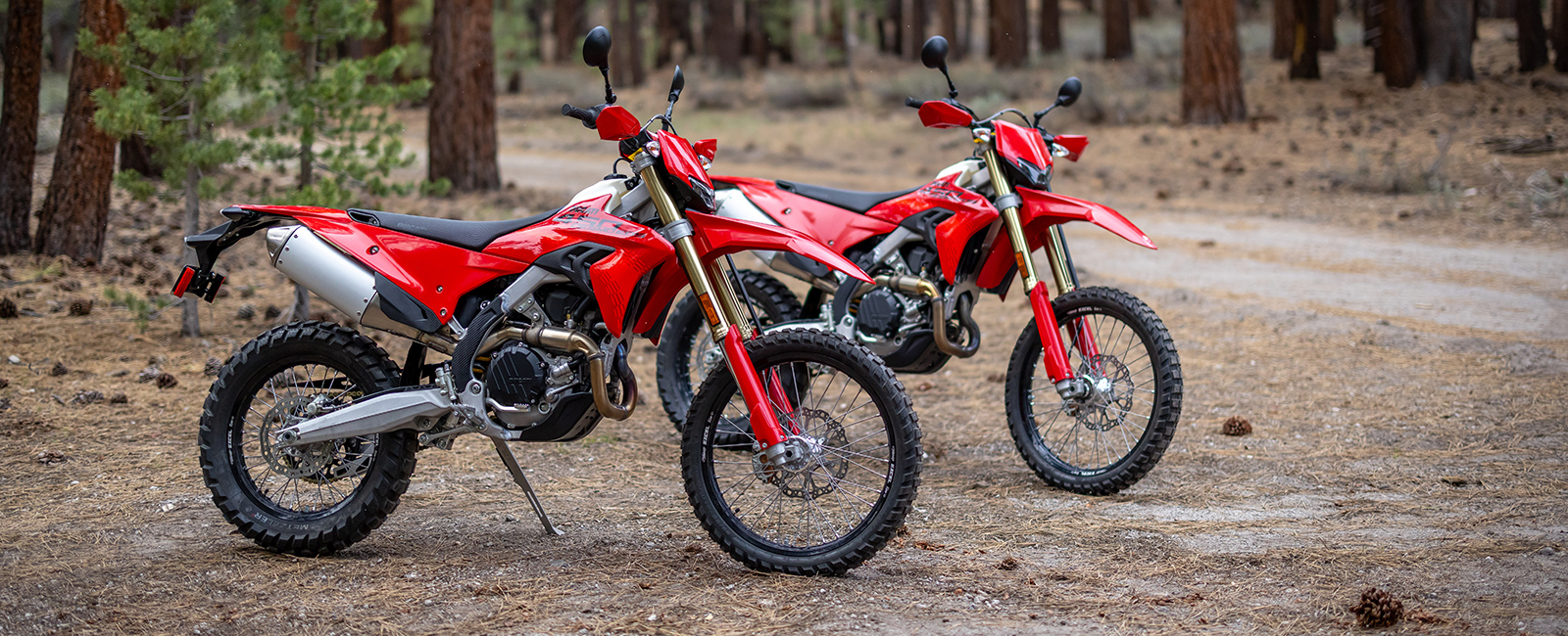 2027 Ducati Desmo450 EDS in Portland, Oregon - Photo 7