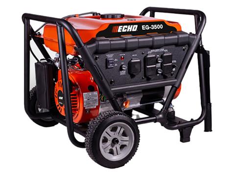 Echo EG-3500 in Gaylord, Michigan - Photo 1