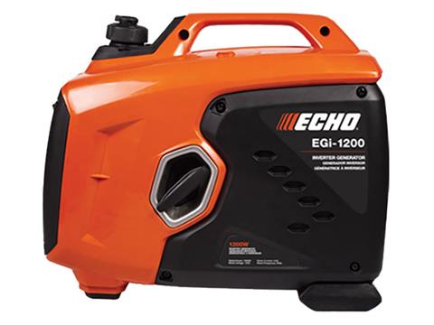 Echo EGi-1200 in Gaylord, Michigan - Photo 1