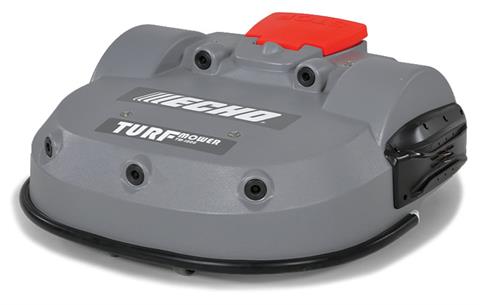 Echo TM-1000 in Gaylord, Michigan