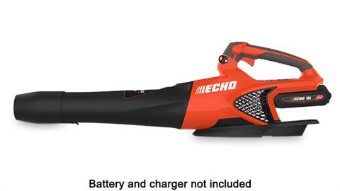 Echo DPB-2500BT in Gaylord, Michigan