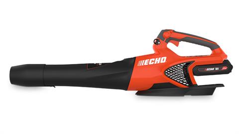 Echo DPB-2500R2 in Gaylord, Michigan