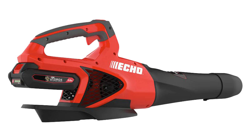 Echo DPB-2500R2 in Gaylord, Michigan - Photo 7