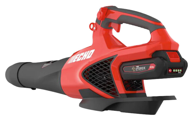 Echo DPB-2500R2 in Gaylord, Michigan - Photo 8