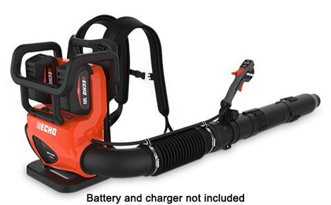 Echo DPB-5800TBT in Gaylord, Michigan