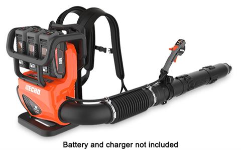 Echo DPB-5900TBT in Gaylord, Michigan