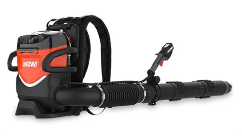 Echo DPB-7700TM2H-3 in Gaylord, Michigan