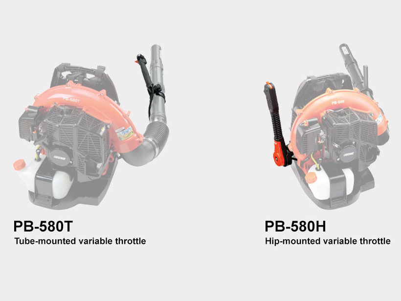 Echo PB-580H in Gaylord, Michigan - Photo 2