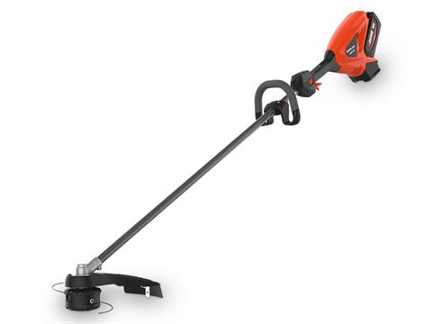 Echo DSRM-225R2 in Gaylord, Michigan