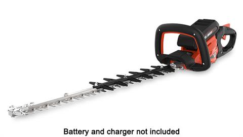 Echo DHC-2200BT in Gaylord, Michigan