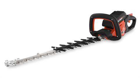 Echo DHC-2200R1 in Gaylord, Michigan