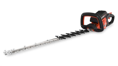 Echo DHC-2800R1 in Gaylord, Michigan