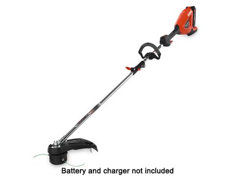 Echo DPAS-2100SBBT in Gaylord, Michigan