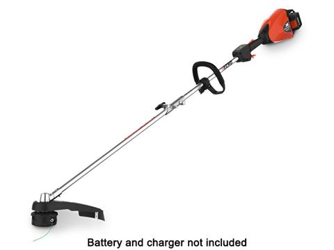 Echo DPAS-2600SBBT in Gaylord, Michigan