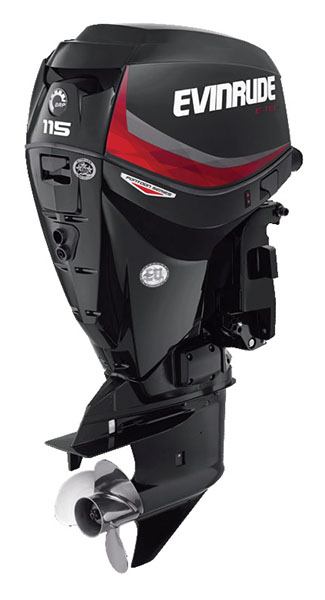 Evinrude E-TEC Pontoon 115 HP in Kaukauna, Wisconsin - Photo 7