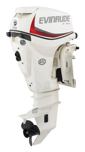 New Evinrude E-TEC 25 HP (E25DGTE) Boat Engines in Lafayette, LA