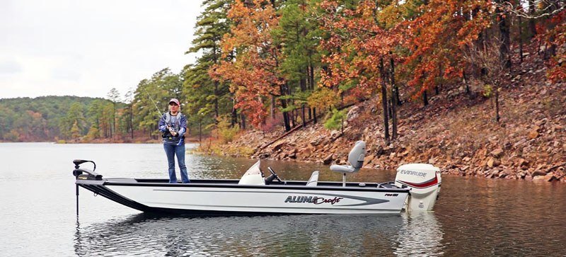 New Evinrude E-TEC 135 HO (E135DHX) Boat Engines in