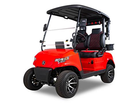 2025 EPIC CARTS E20 in Rancho Murieta, California