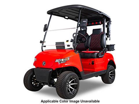 2025 EPIC CARTS E20