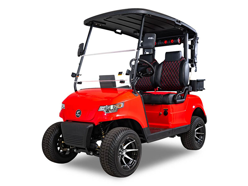 2025 EPIC CARTS E20 in Rancho Murieta, California - Photo 1