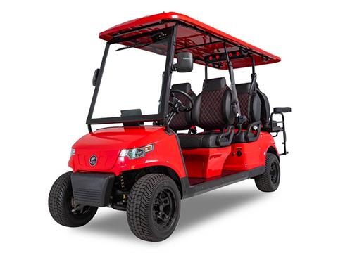 2025 EPIC CARTS E60
