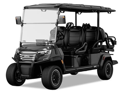 2025 EPIC CARTS E60FX