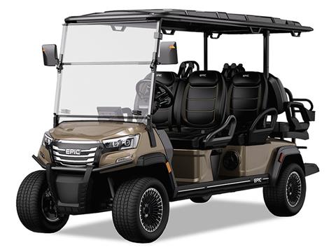 2025 EPIC CARTS E60FX